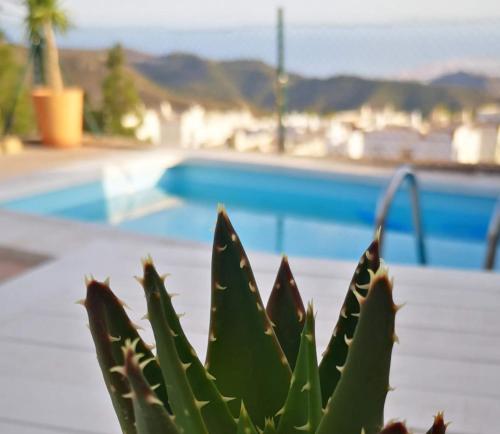 CASA JAN with pool, mountain and sea views.