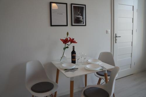 Apartament Gliwice Centrum Witkiewicza I