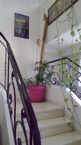 Hotel De La Bastide - image 11