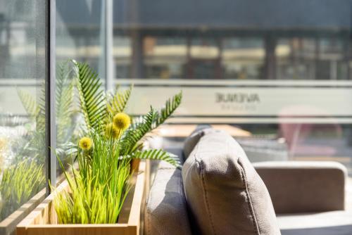 Avenue Hotel Deluxe - image 2