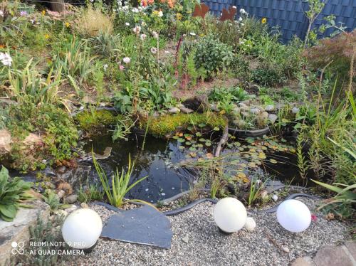 Ferienwohnung Gartenblick