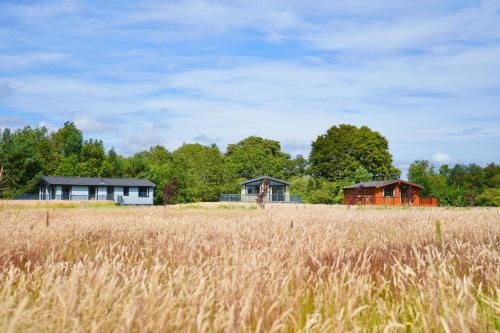 Linwater Holiday Park - image 5