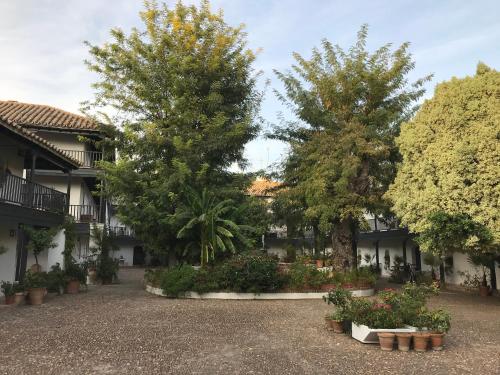 S27 Corral del Siglo XVI, Sevilla (Foto 8)