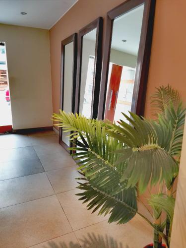 Espacio Luxury Apartments- Calle Piura
