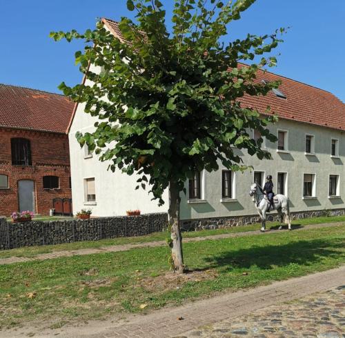 Ferienwohnung Urlaub mit Pferd, Hof Müggenburg