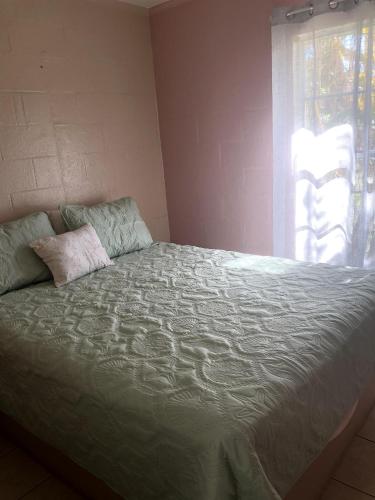 Pirate Cove Cottages - image 5