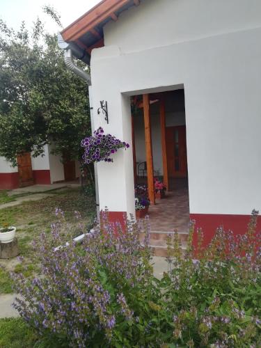 Négy Tücsök Vendégház (Negy Tucsok Vendeghaz) in Nagykörű