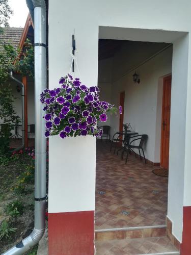 Négy Tücsök Vendégház (Negy Tucsok Vendeghaz) in Nagykörű