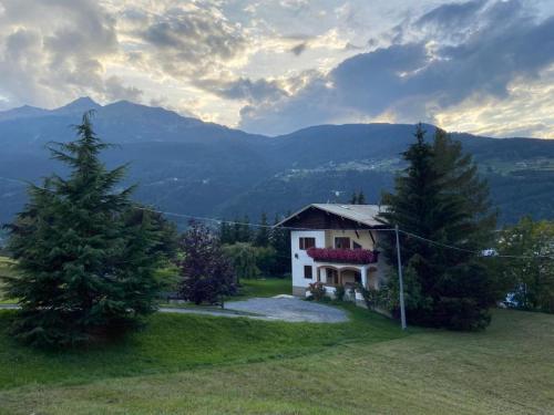 Appartamento Pista Stelvio - image 10