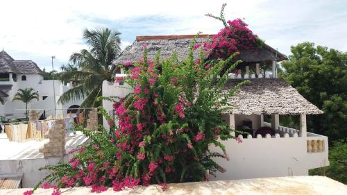 Eksterijer hotela, Furaha House in otok Lamu 