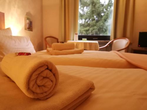 Hotel zur Schmiede - Altenau