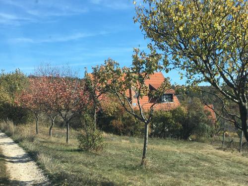 Holiday Home in Dörgicse Vineyard