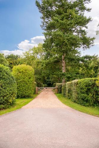 Chambers Place, Reading (fotografie 7)