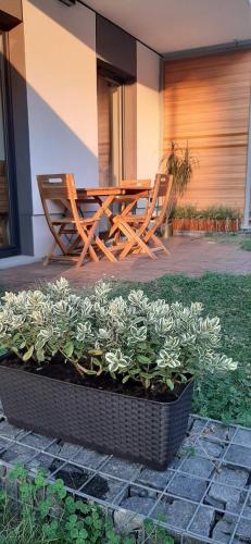 Apartament with Garden BEZPŁATNY PARKING !!!, Cracovie (photo 4)