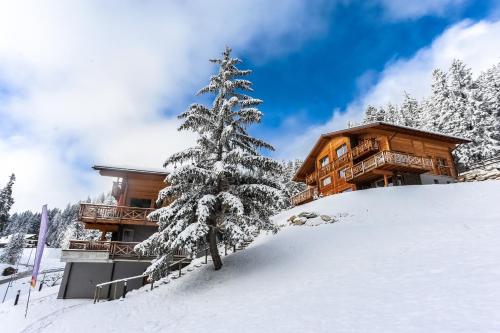 Crans Luxury Lodges