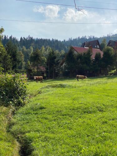 Noclegi "Na Szczyrboku" Dom I