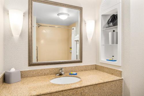 Holiday Inn Express & Suites Wilmington-Newark an IHG Hotel - image 18