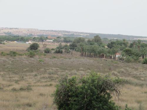 Hostal Meseguer