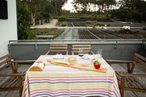 Islas del río Miño