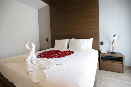 269532922 Hotel Diana