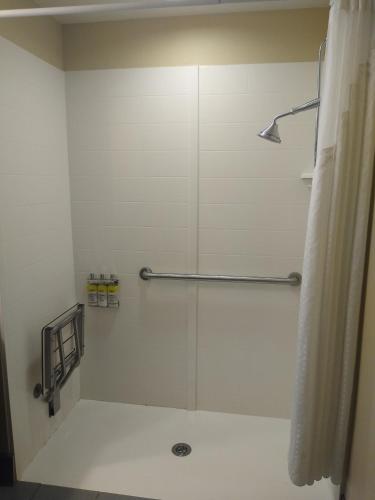 King Room - Hearing Accessible - Roll-in Shower