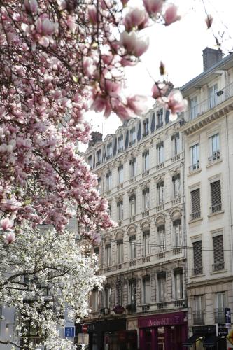 Hotel des Celestins - image 11