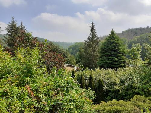 Talblick 1 - Ihr Zuhause : das Ferienhaus mitten im idyllischen Tal