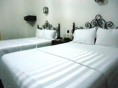 269540881 Hotel Concierge Plaza Colima