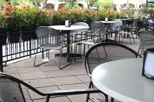 269544343 Hotel Concierge Plaza Colima