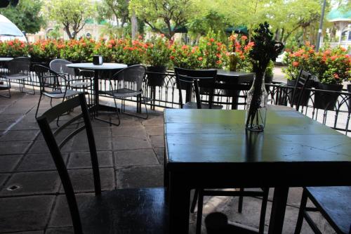269544470 Hotel Concierge Plaza Colima