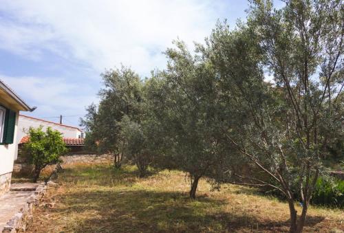 Holiday home Lada - 100 m from beach - main image