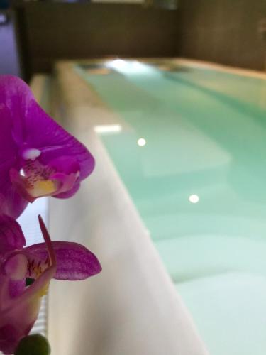 Hotel Avisio - Soraga