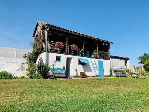 花園, Lux House Olga in 魯馬