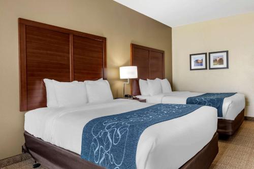 Comfort Inn & Suites Paris - image 6