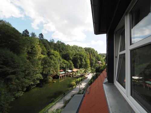 View, Villa Amselgrund in Rathen