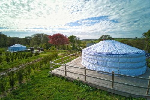Glamping Yurts Near Newquay, St Mawgan, Cornwall
