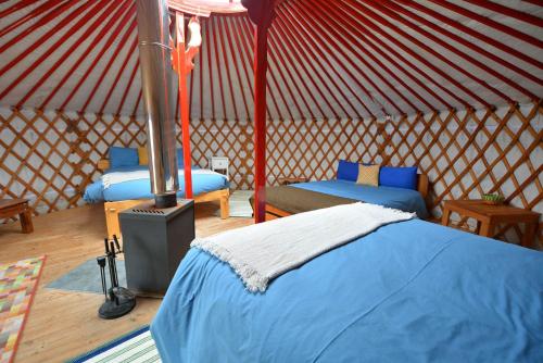 Glamping Yurts near Newquay Glamping Yurts near Newquay