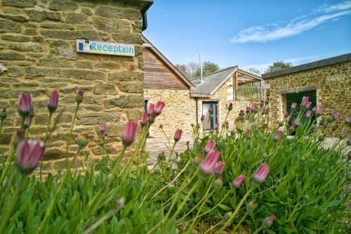 Glamping Yurts near Newquay Glamping Yurts near Newquay