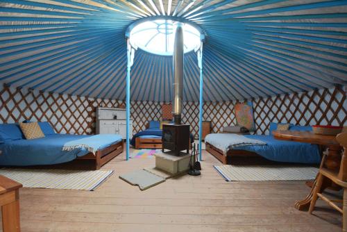 Glamping Yurts near Newquay in Colan