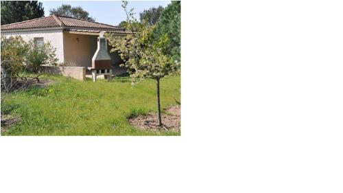 Figari : Villa arborée avec piscine gîte à louer Tivarello