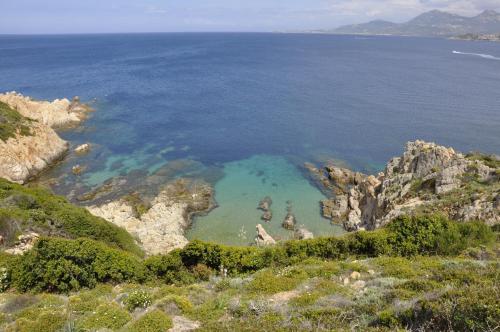 Résidence Saint Cyprien plage - image 3