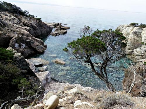 Résidence Saint Cyprien plage - image 12