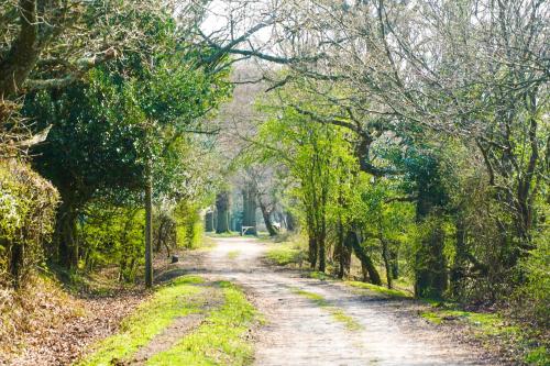 A környék, New Forest Lodge in Landford