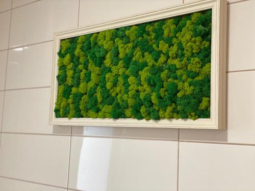 Green Deluxe Apartment Cosmopolis in Ștefăneștii de Jos