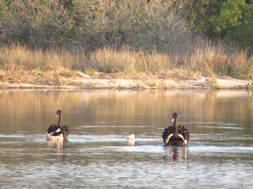 Lakes Entrance Waterfront Cottages with King Beds – Lake Entrance, MS