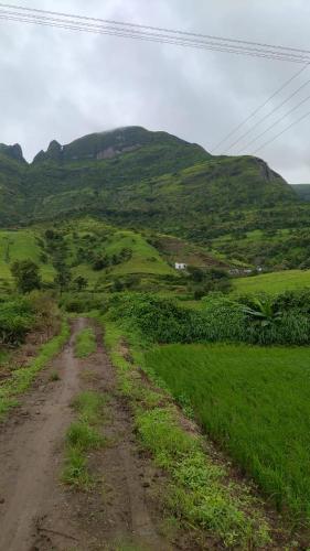 Jandyal Farm House