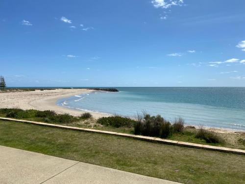 Dolphin View 404 photo