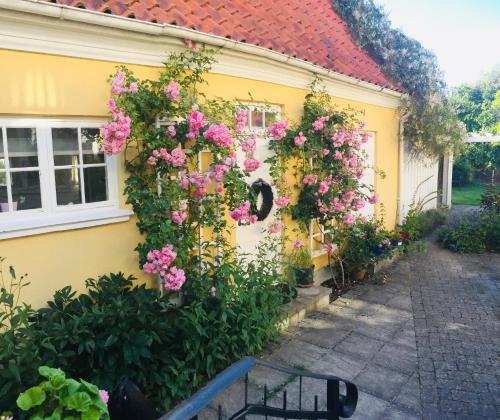 花園, Solhaga Kullahalvön (Solhaga Kullahalvon) in 約斯托普