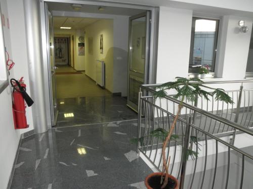 Rooms Cipot - image 6