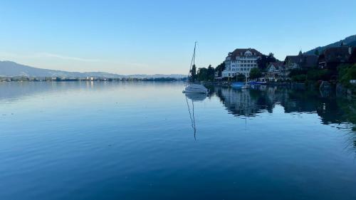 Hotel Restaurant Bellevue au Lac